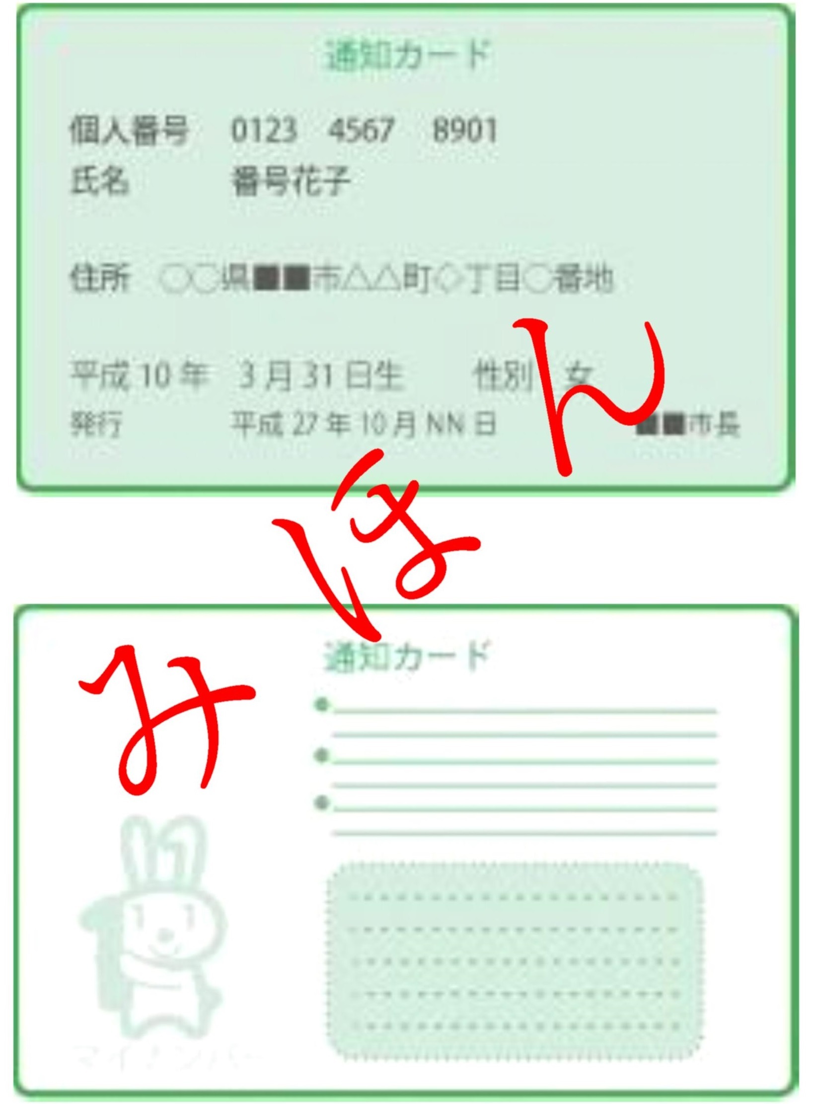 通知カード見本