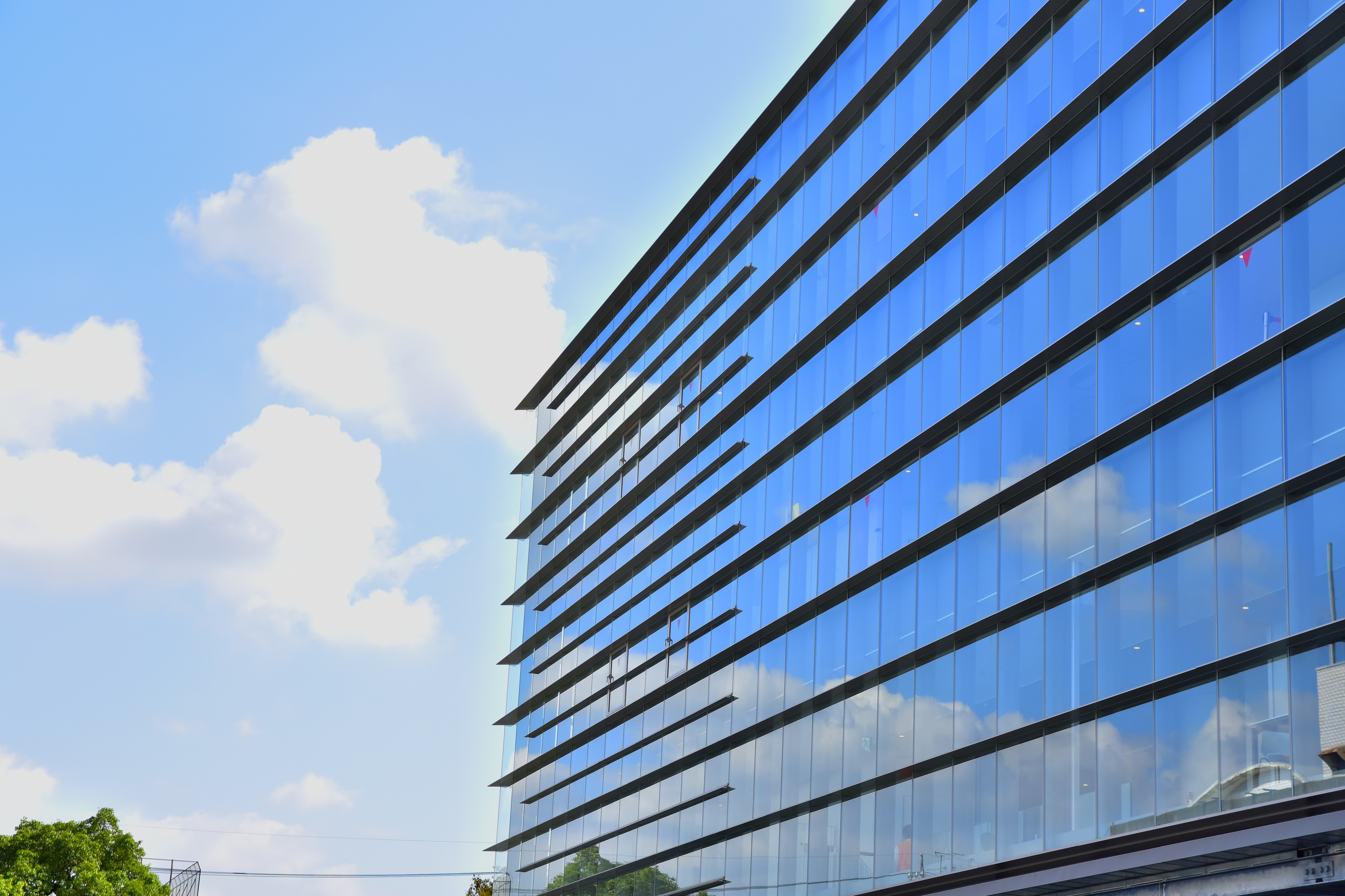 市役所新庁舎