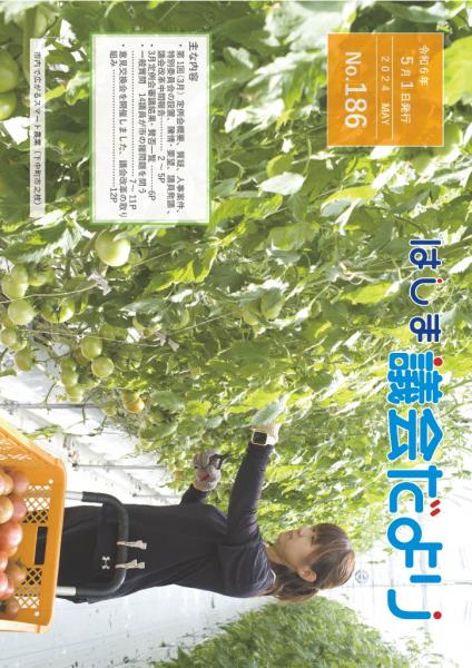 186hyoshi