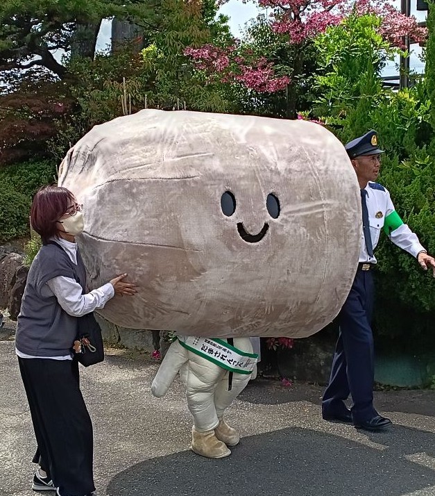 だまされんこん